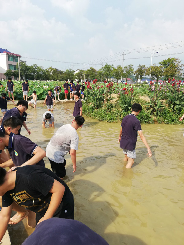 3摸鱼1.jpg