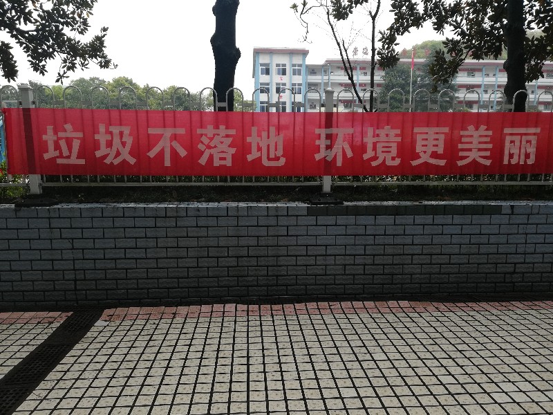 IMG_20190404_125225.jpg