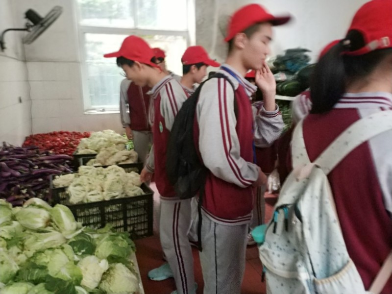 营养日参观食堂2.jpg