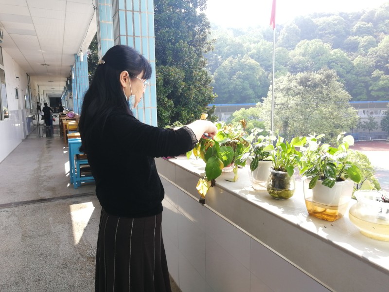 202004开学前教师活动图IMG_20200408_092547.jpg