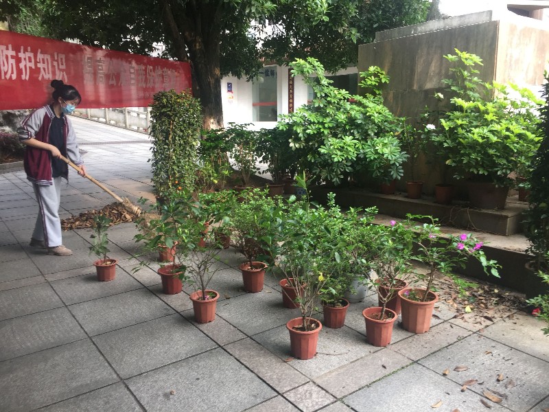 清扫干净花盆.jpg 清扫干净花盆.jpg