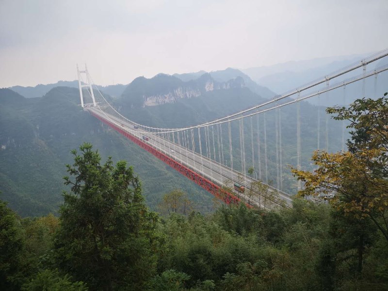 微信图片_20201117094919.jpg