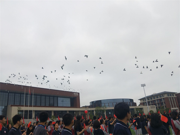 图片 2.png