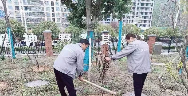图片 1.png