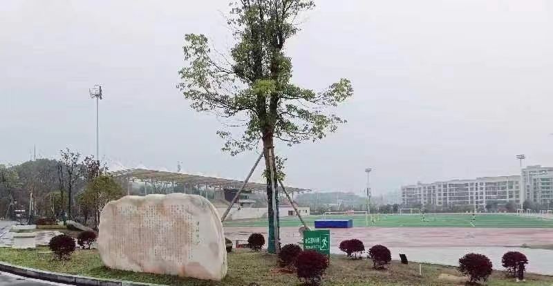 图片 2.png