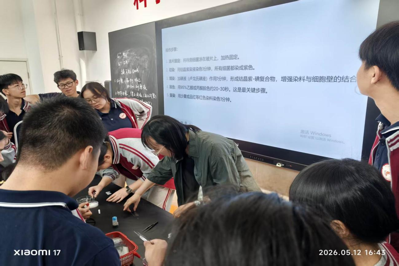 图片8.png